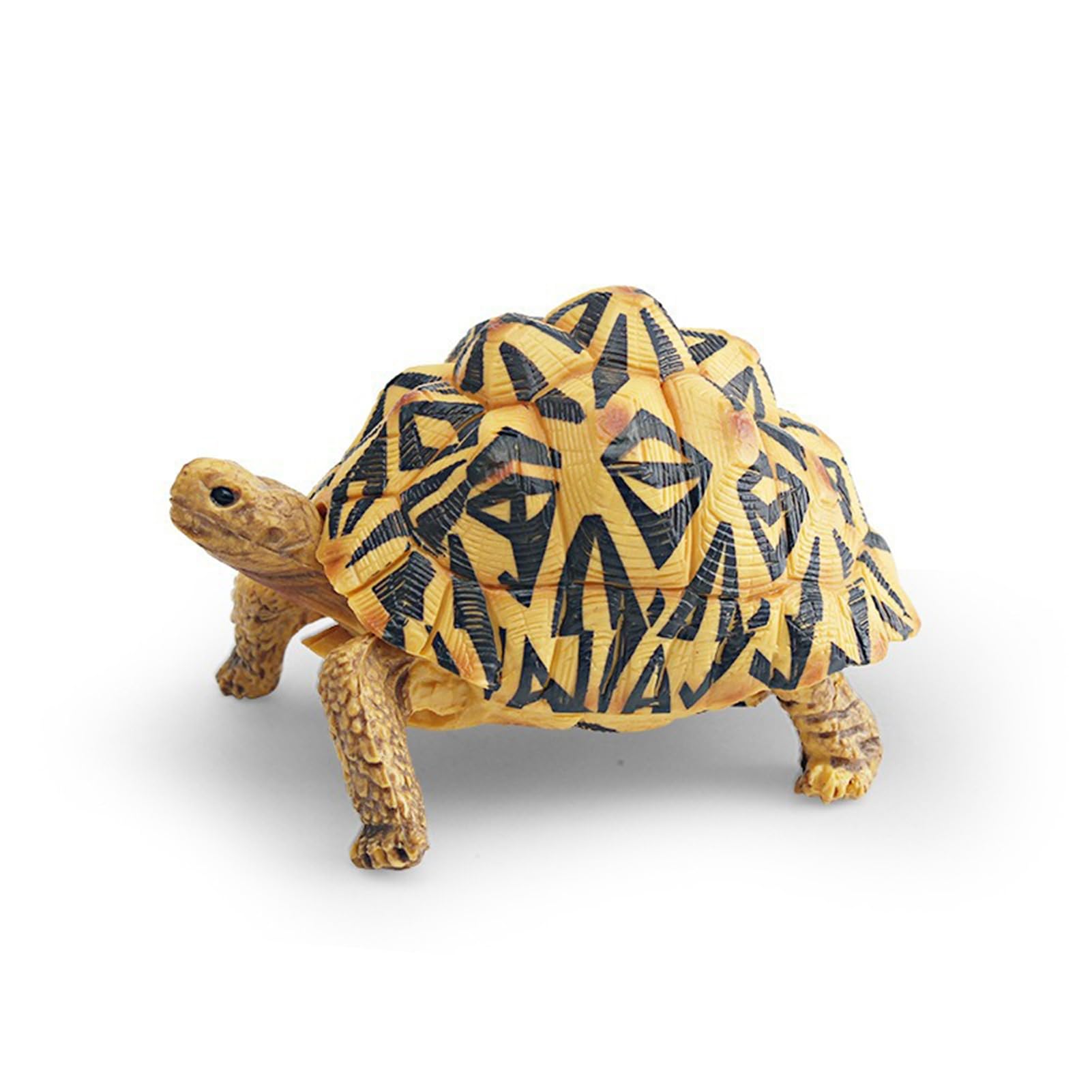 Fogcroll Simulation Model Realistic Tortoise Figurine Miniature Animal Educational Toy Home Office Desktop Decoration Ornament