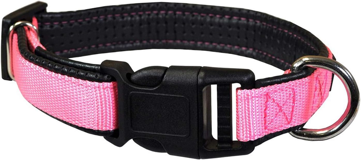 Downtown Pet Supply - Quick-Release Dog Collar - Padded Adjustable Dog Collar with Buckle and Metal D-Ring - Water Resistant Thick Dog…