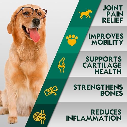 Miniatura 3 de Suplemento avanzado para cadera y articulaciones para perros con glucosamina y condroitina, para perros, glucosamina, cúrcuma orgánica, membrana de