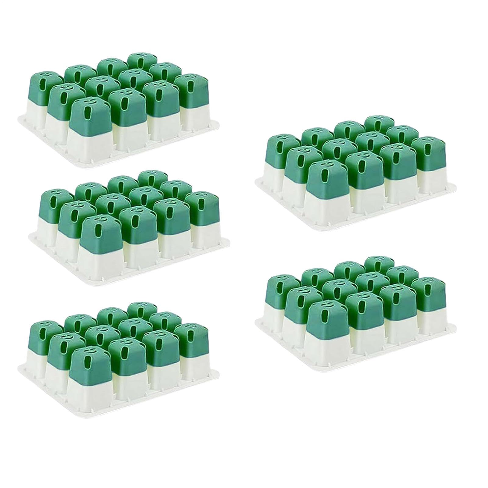 Plateaux de germination en silicone pour semis piment et poivron