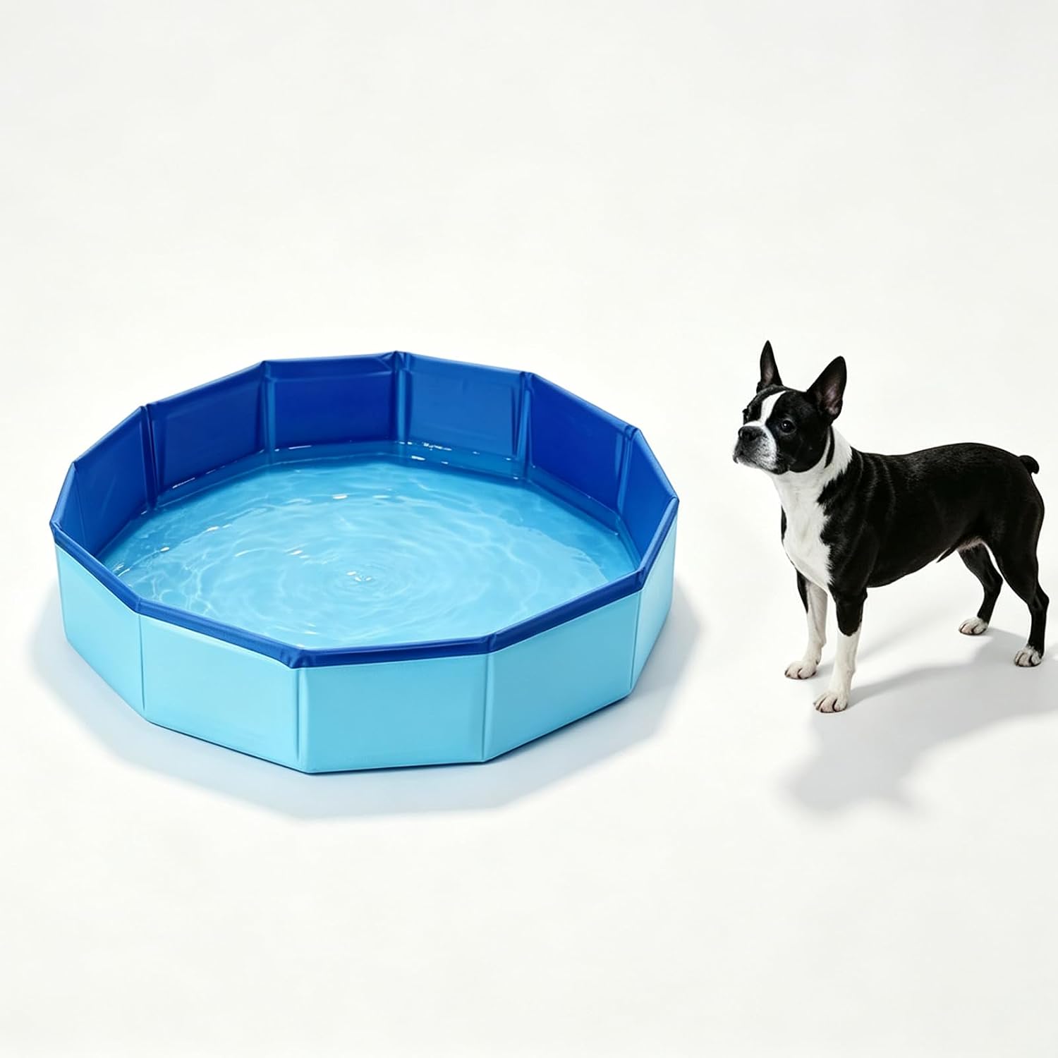 20" Portable Dog Bathtubs, Foldable Paddling Pool for Small Dogs & Cats | Hard PVC Material Portable Foldable Indoor Outdoor Backyards Use Hard Swimming Pool Anti-Slip Pet Bathtub