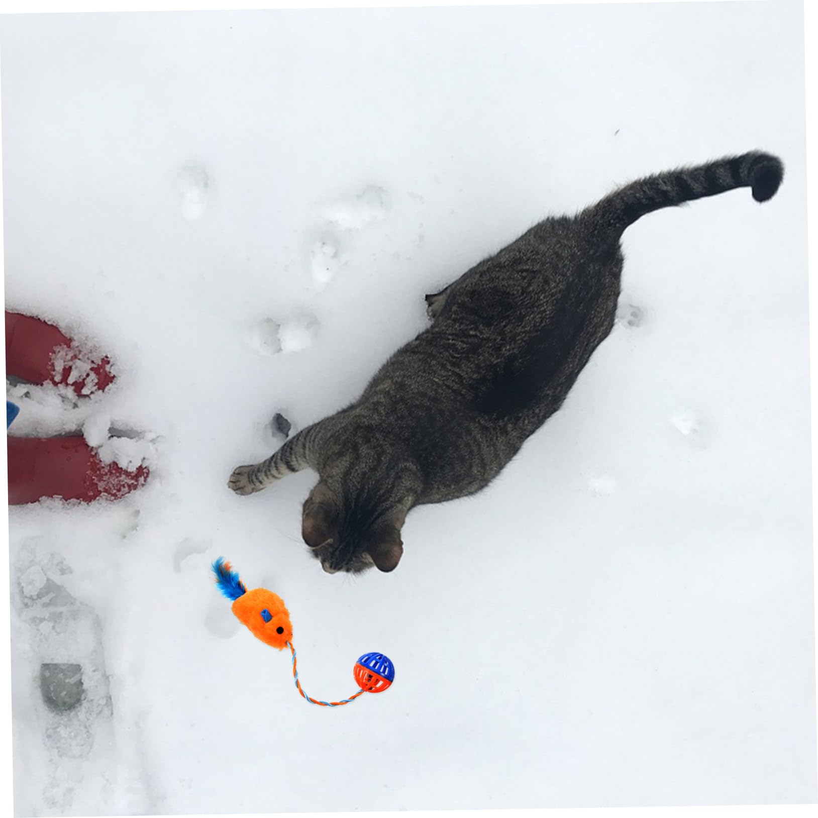 Jouet pour Chat Plastique avec Cloche Sonore Jouet à Mâcher Solide Taille Petite Couleur Orange pour Domicile Adapté Aux Chatons Et Chats Adultes