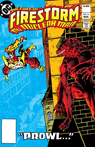 Cover of The Fury of Firestorm (1982-1990) #10