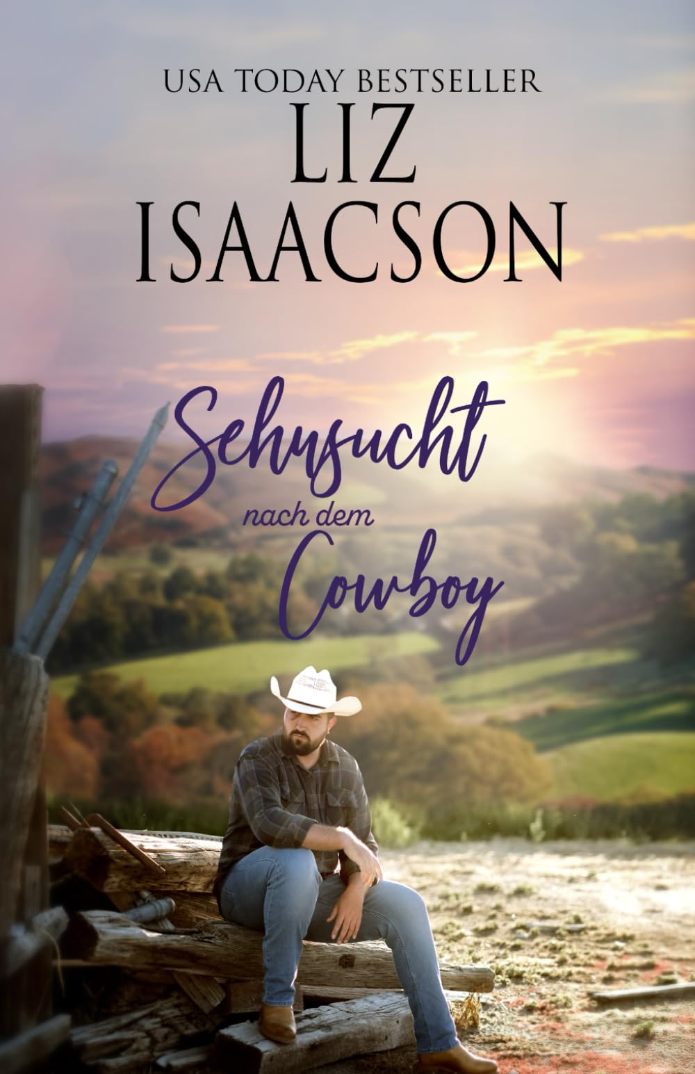 Sehnsucht nach dem Cowboy: Cowboy-Liebesgeschichten aus dem Westen (Herzen im Hill Country)