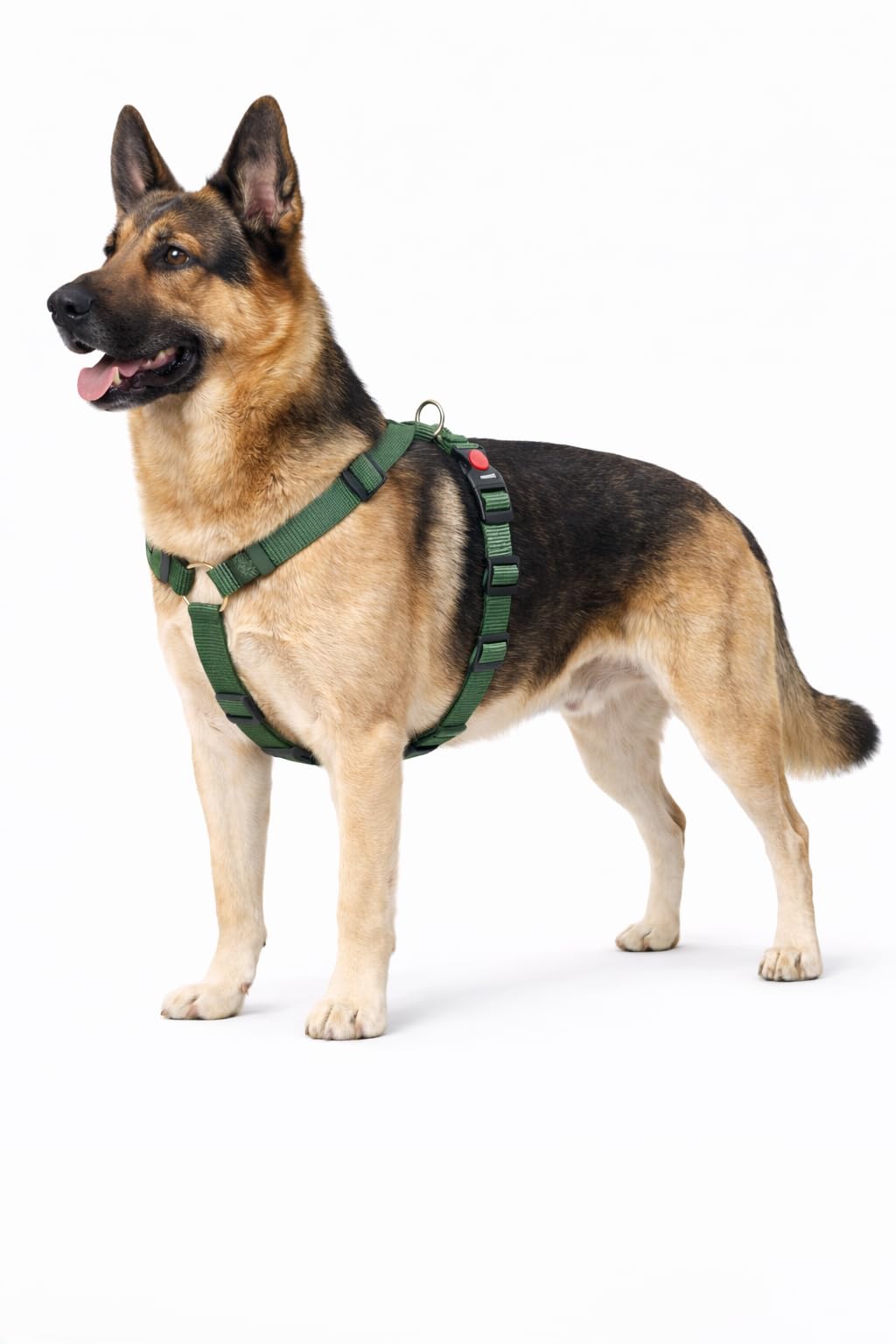 Dog Harness H-shape Ziggi Khaki XL 70-110cm 85-120cm 25mm