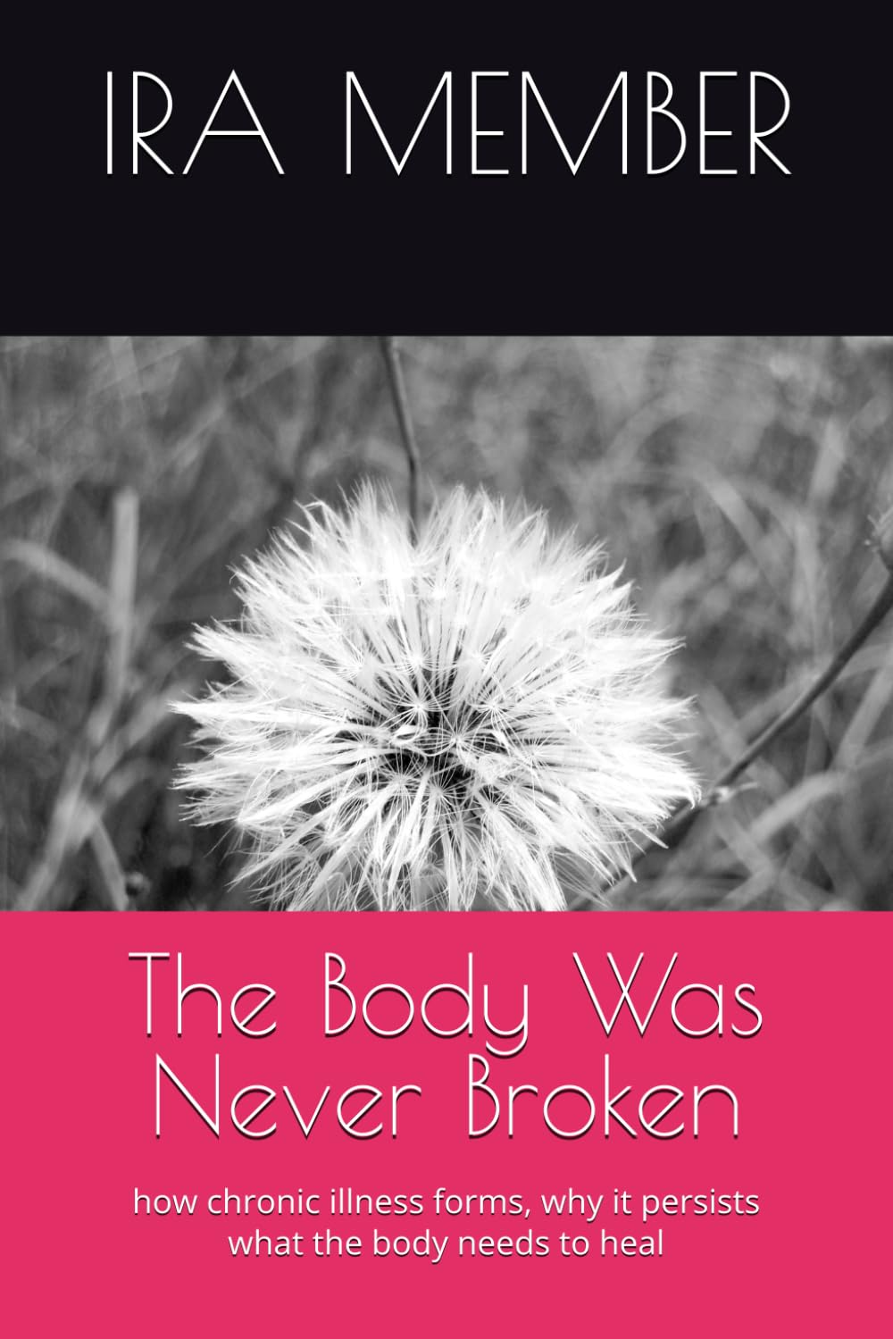 The Body Was Never Broken: how chronic illness forms, why it persists what the body needs to heal