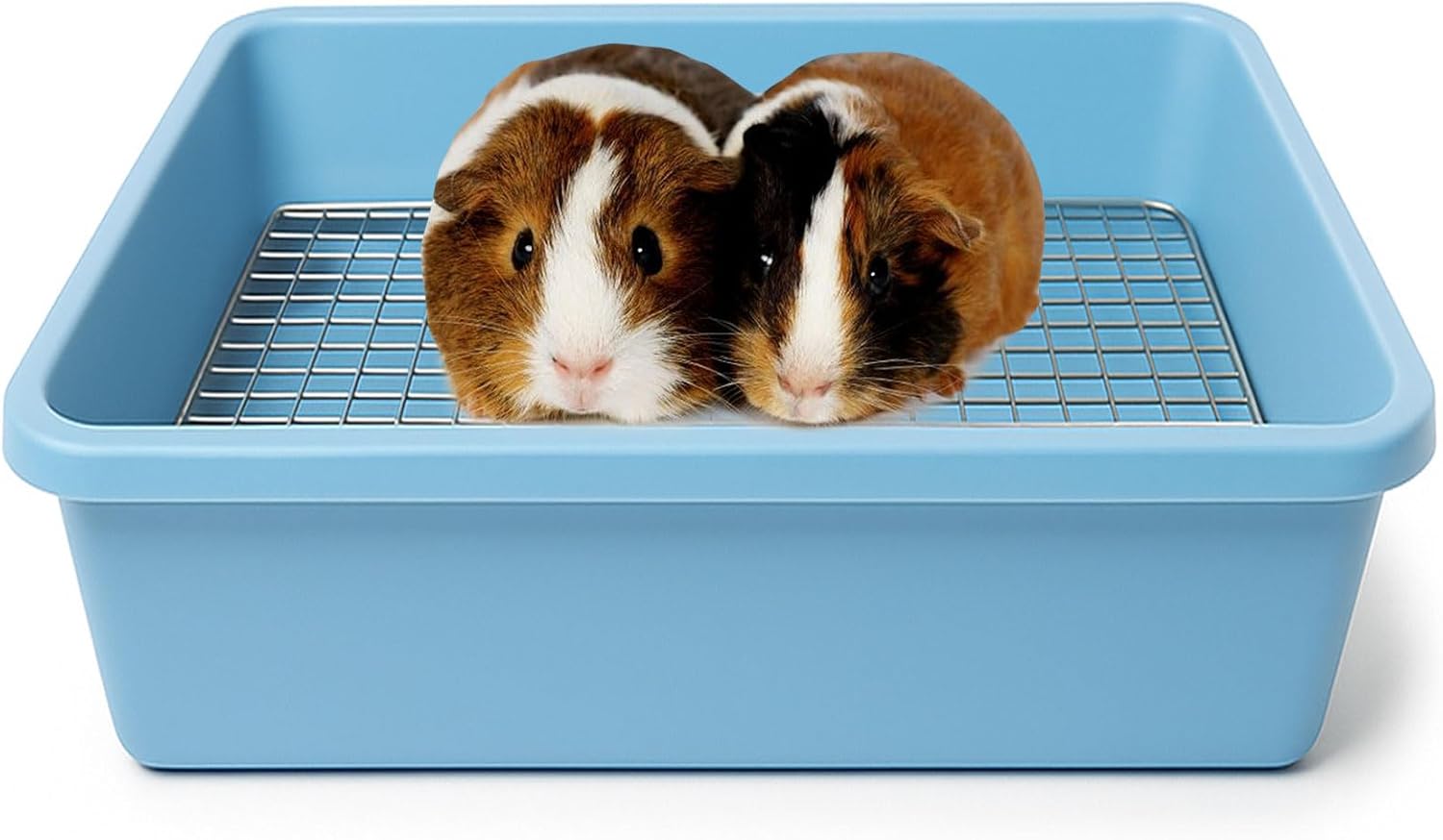 Oncpcare Deep Guinea Pig Litter Box with Metal Grid, Plastic Bunny Litter Pan Potty Trainer Tray for Small Animals Guinea Pig Ferret Rat Ideal for Cage Training and Easy Cleaning (15”x12”x4”, Blue)
