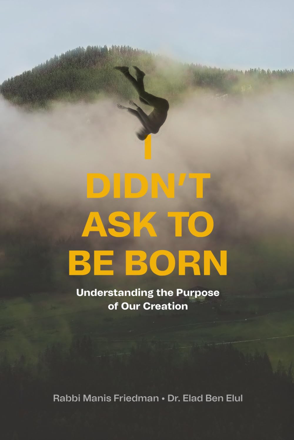 I Didn’t Ask to Be Born: Understanding the Purpose of Our Creation