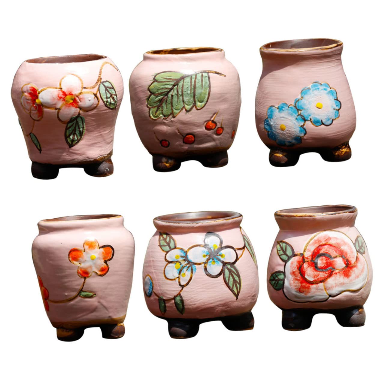 Pots de fleurs succulentes en cadeau pour amateurs de jardinage