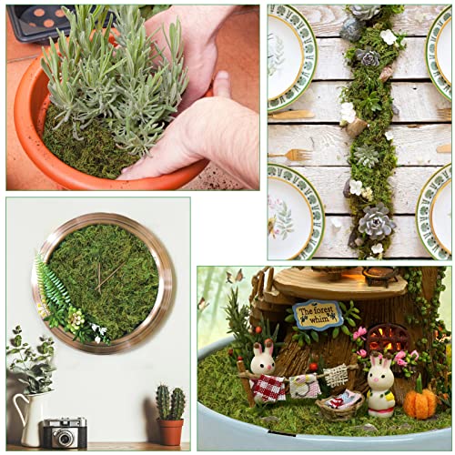 17.6 Oz Large Capacity Artificial Moss For Potted Plants,Natural Artificial Moss Grass For Fake Plants Indoor,Craft Moss And Greenery Bulk,Forest Moss For Hamsters(Fresh Green) #TOP6