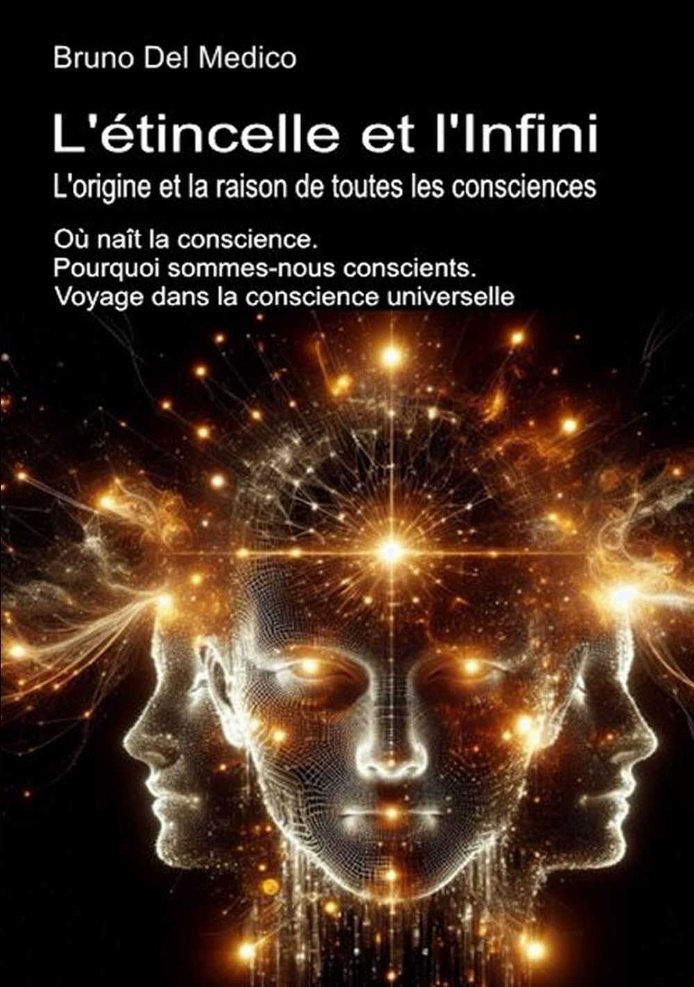 L'étincelle et l'Infini. L'origine et la raison de toutes les consciences: Où naît la conscience. Pourquoi sommes-nous conscients. Voyage dans la ... ... de Bruno Del Medico en français. (FRA))