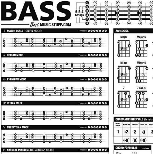 Essential Bass Theory Chart Version 2 (UPDATED & REVISED) • Bass Reference Poster 24"x36"