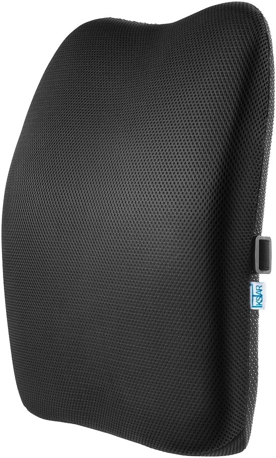 TerraShine クッション 腰枕 背もたれサポートピロー 低反発 アーチ型 通気性 取付バンド調節可能 ランバーサポート オフィス 椅子 車用 （ブラック）