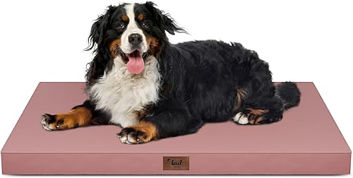 Miniatura 32 de Cama Ortopédica para Perros de Exterior para Perros Medianos y Gatos, Tapete Plano Impermeable para Mascotas con Espuma de Caja de Huevos y Funda