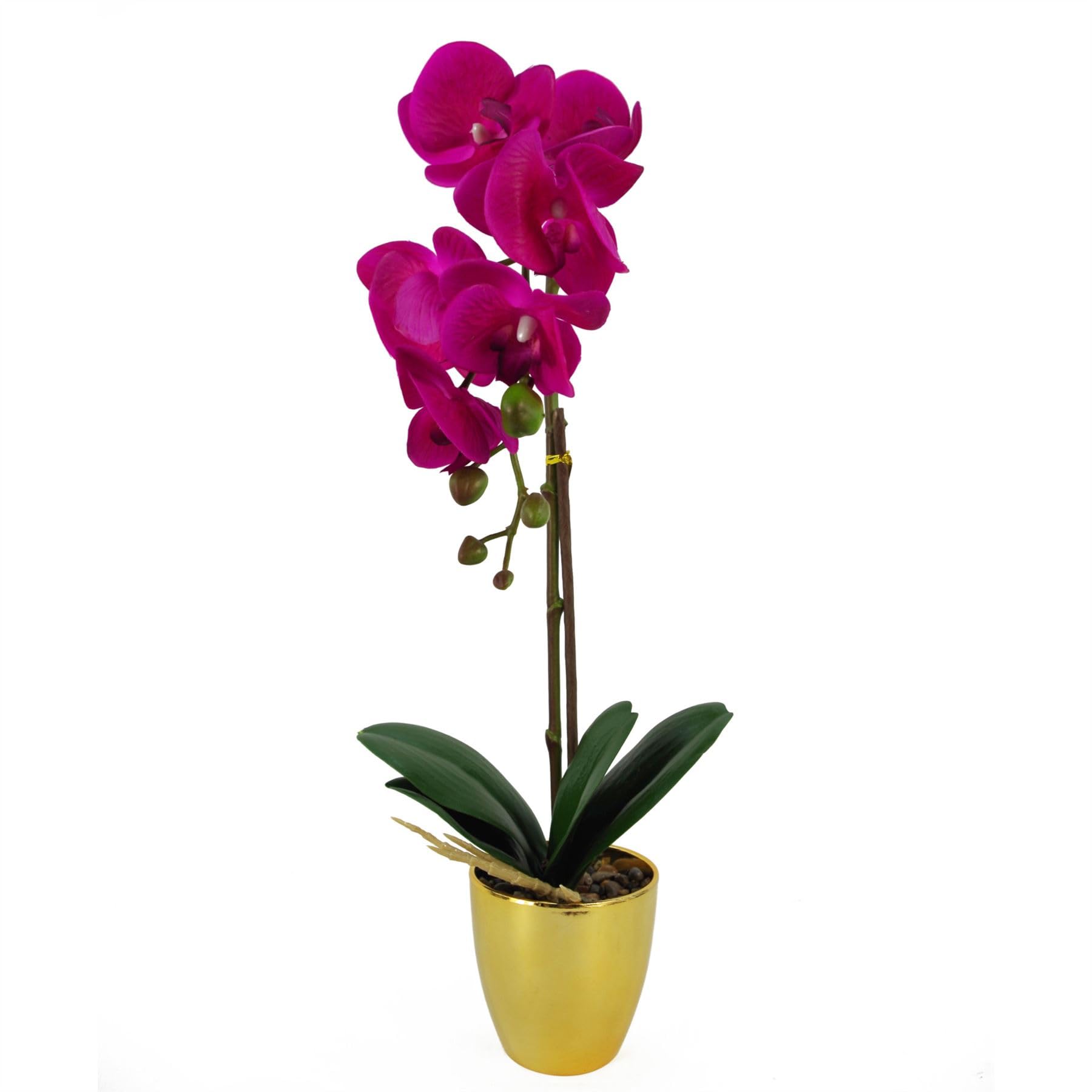 Leaf Design UK Realistic Artificial Orchid Flower Display in Pot