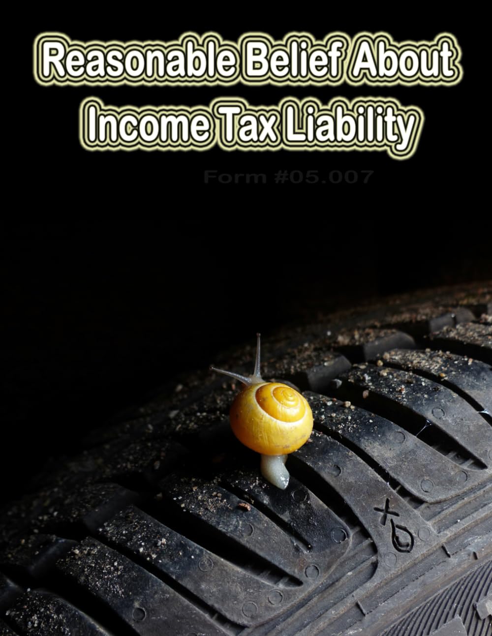Reasonable Belief About Income Tax Liability: Form #05.007