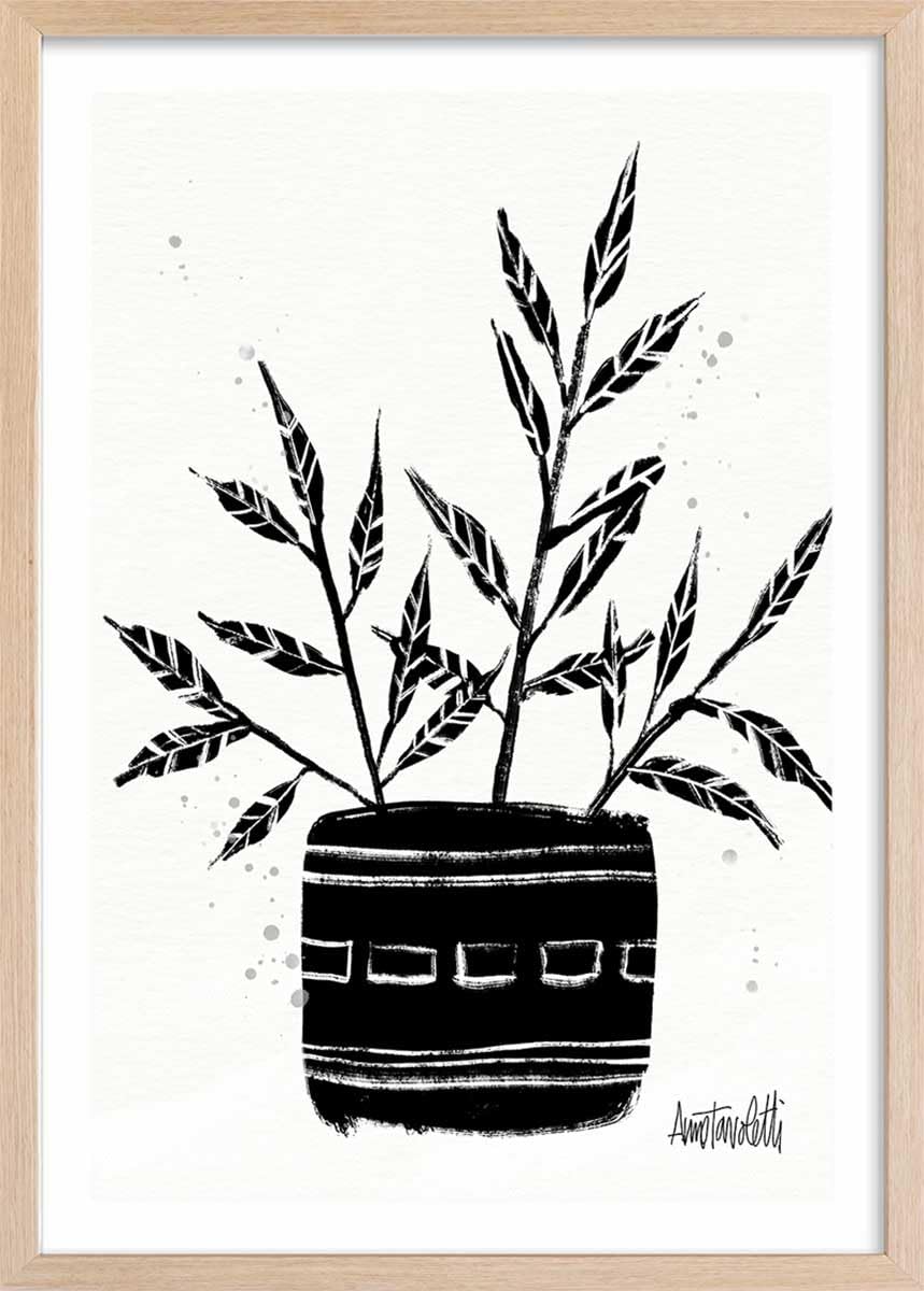 ilustración botánica y cerámica terracota – Made in France – Póster bajo marco madera 60 x 90 cm