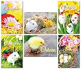 geliefert werden 50 Stück 50 Grußkarten zu Ostern Osterhase Küken 6 Motive Osterkarten Klappkarten Umschläge 130-3579