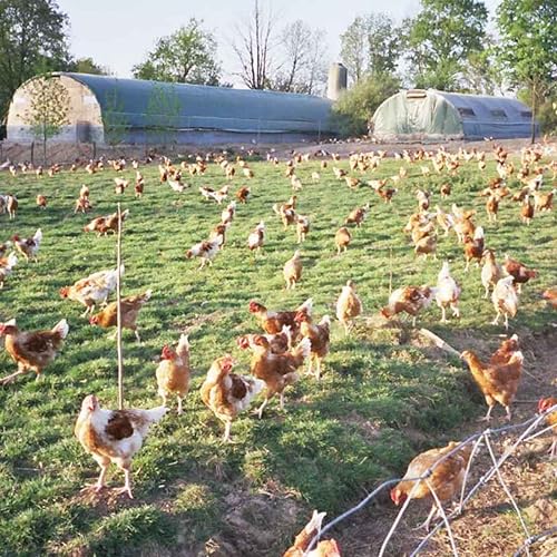 Faim de vie - Laur&eacute;at 2022 / Prix du Jury