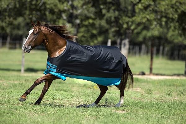 Horseware Couverture d'hiver/de prairie Amigo Mio Turnout, taille moyenne, noir/turquoise - 1