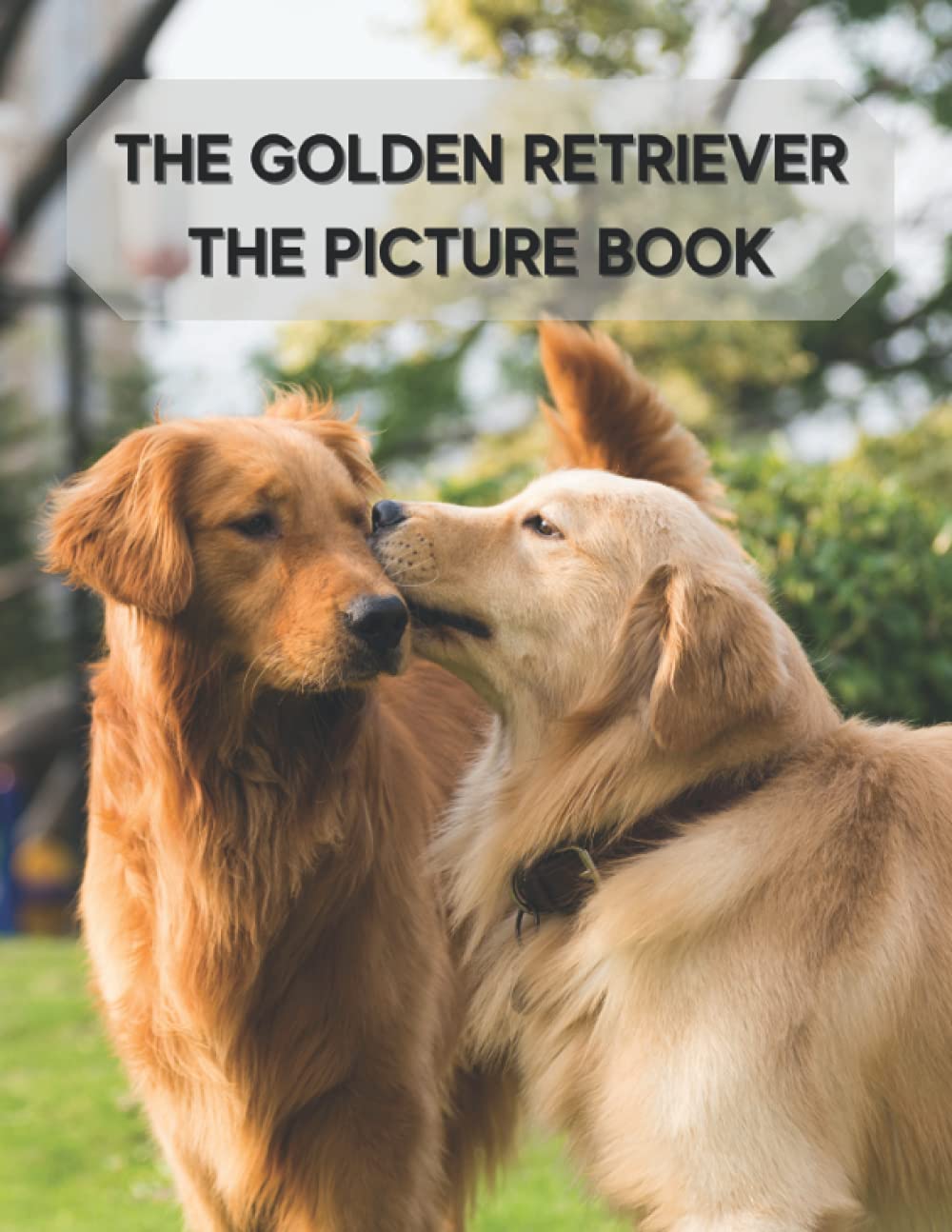 The Golden Retriever: Photo Book of The Golden Retriever for Seniors, Kids, Alzheimer's with Dementia,( Picture Book).