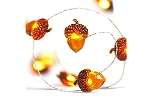 BOHON Thanksgiving Decorations Acorn Lights String - 10ft 40 LEDs