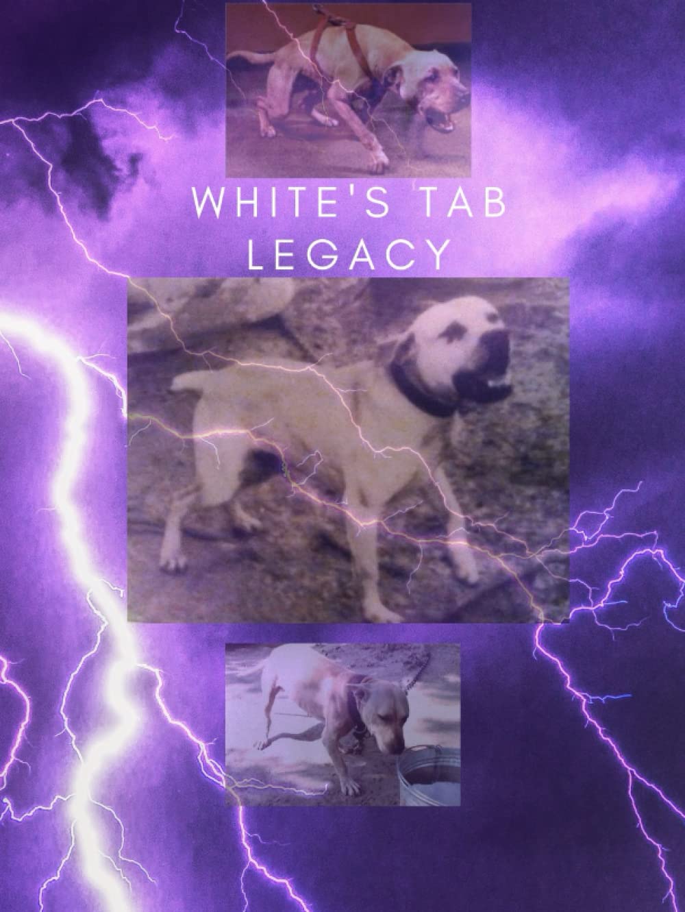White's Tab Legacy