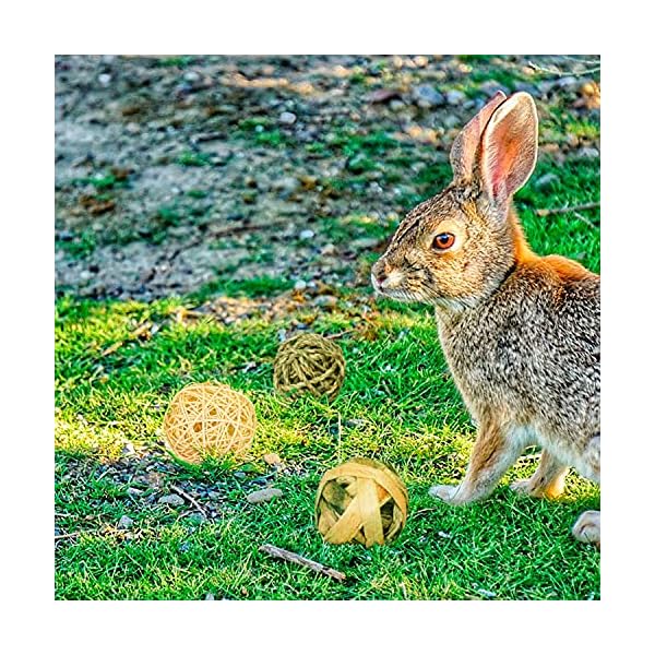 Episkey 9 Stück Kaninchen-Spielzeug, Kaninchen-Leckerlis, Meerschweinchen, Spielzeug für kleine Haustiere, Kaubälle, Grasbälle, natürliches Spielzeug für Kaninchen, Rennmäuse und Hamster (7,8 cm) – Bild 7