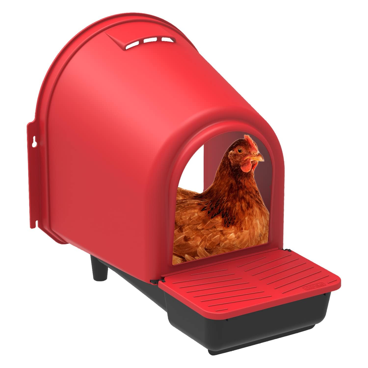 horizont Nido con deposito per uova, nido di pollo, in plastica, per un massimo di 6 polli, per montaggio a parete, nidi di legename per polli, grande scatola di ovaia, nido per pollame, accessori per