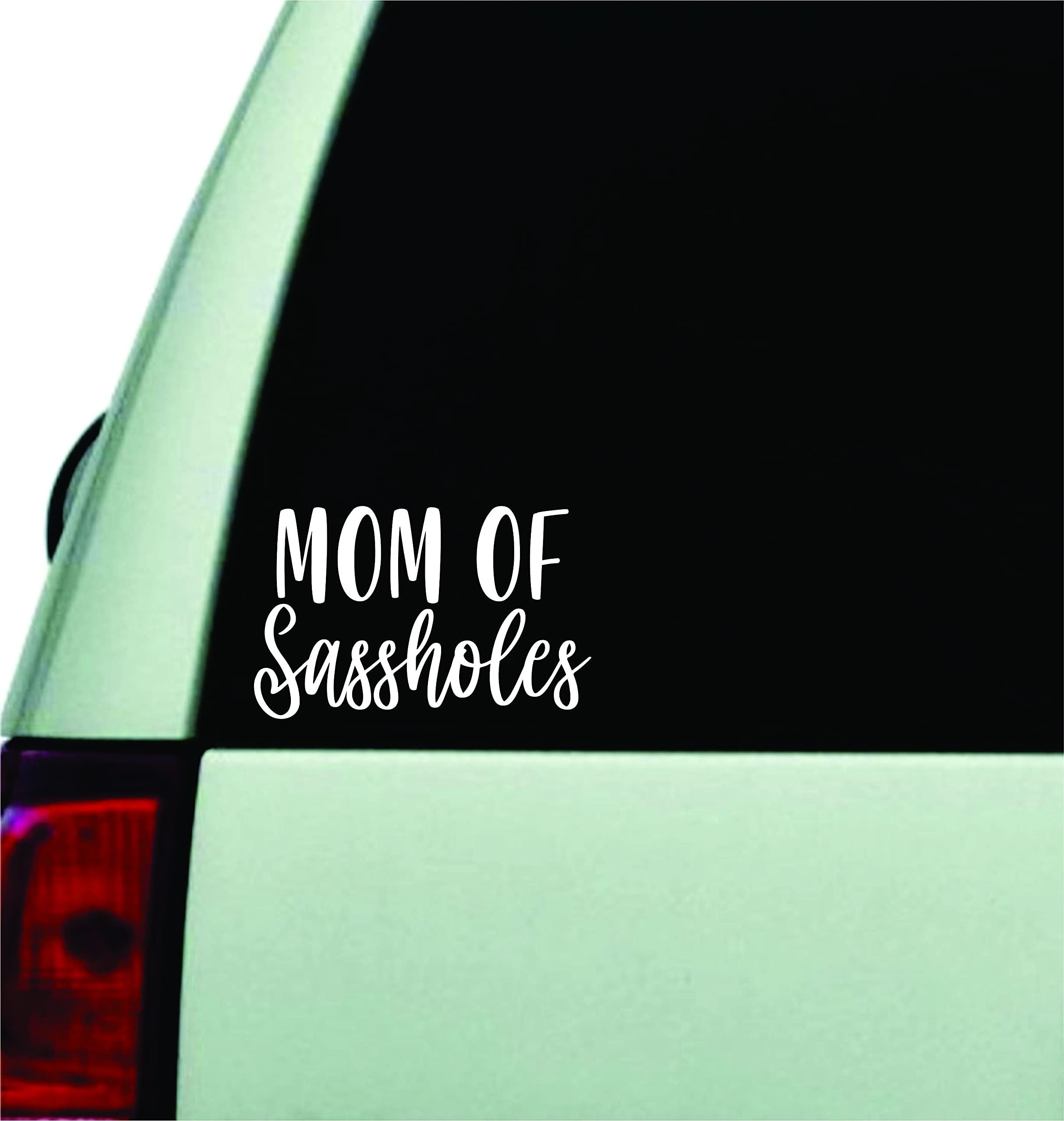 Boop DecalsBoop Decals Mom of Sassholes Wall Decal Sticker Vinyl Car Truck Window JDM Windshield Laptop Funny Quote Wife Family Cute Dad Mom Mama Kids Baby Newborn Meme Cute Mini Van Sassy Daughter