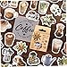 Odoukey Scrapbook Adesivi da Viaggio, 1 Box cartoleria Adesivi Carta Foto Album Diario Diario Scrapbook Decorazione Adesivi da Viaggio Adesivi per Scuola Adesivi per caffè