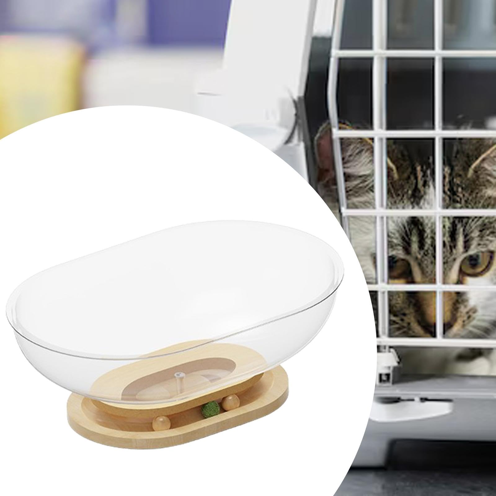 Generic Space Capsule Cat Bed Indoor Cats Kitten Nest Activity Centre Easy Cleaning Small Pets Bed Toy Transparnt Cat House for Kitty, 50cmx30cmx18cm, Clear