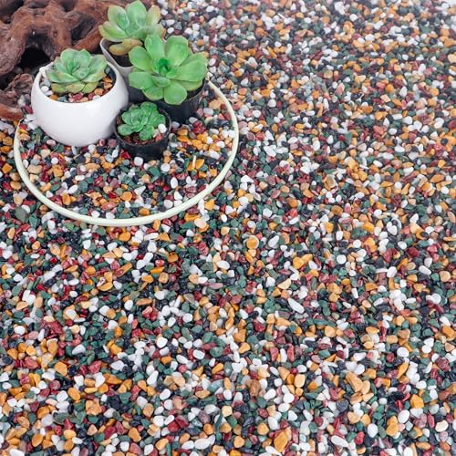 Image of CJGQ 18lb Aquarium Gravel for Plants, 1 /4Inch Fish Tank Gravel for Succulent Cactus and Bonsai, Decorative River Rocks Pebbles for Gardening, Flower Pots, Landscaping,Terrarium