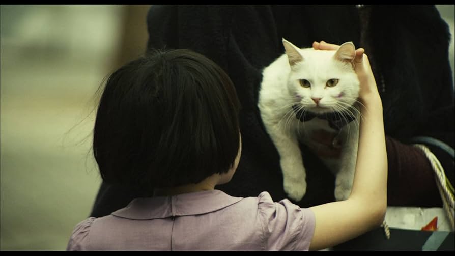 Amazon.co.jp | The Cat [Blu-ray] DVD・ブルーレイ