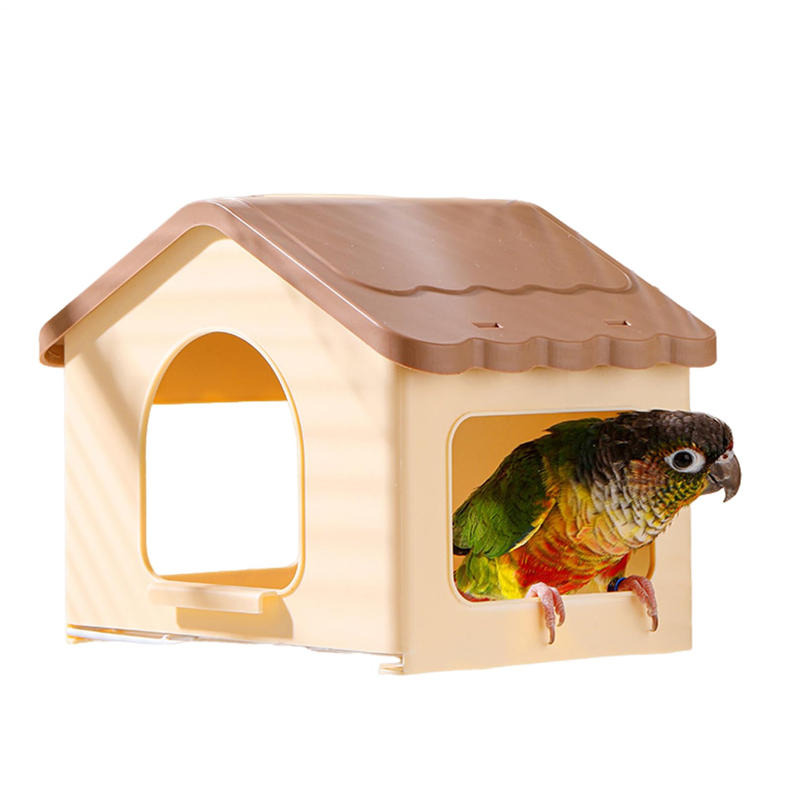 Nichoir à oiseaux pour se cacher en hiver petite maison