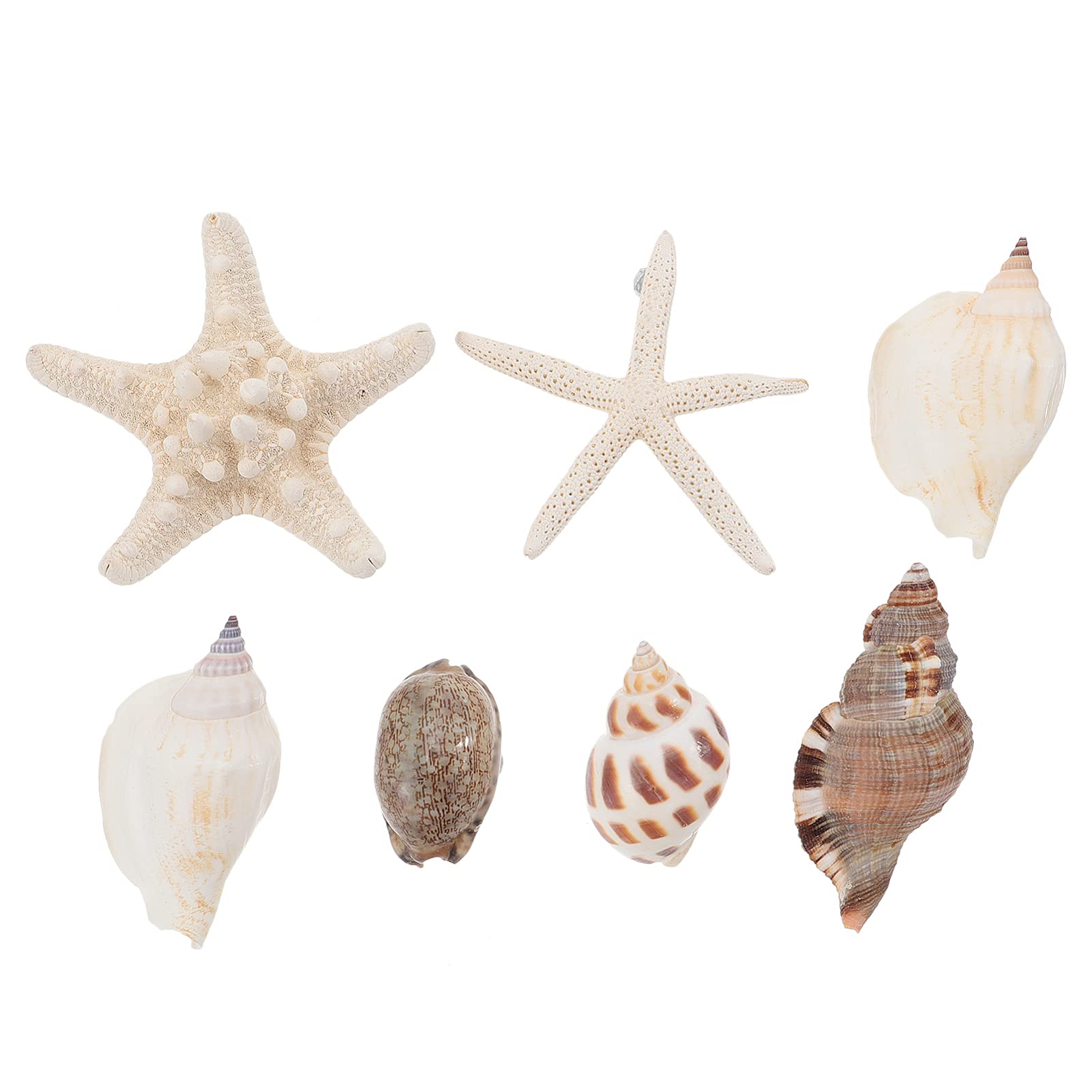 NUOBESTY Magnet Fridge 7PCS Refrigerator Beach Magnets 3D Seashell Conch Shape Sticker Nautical Refrigerator Whiteboard Locker for Home Kitchen Random Style Fridge Decor