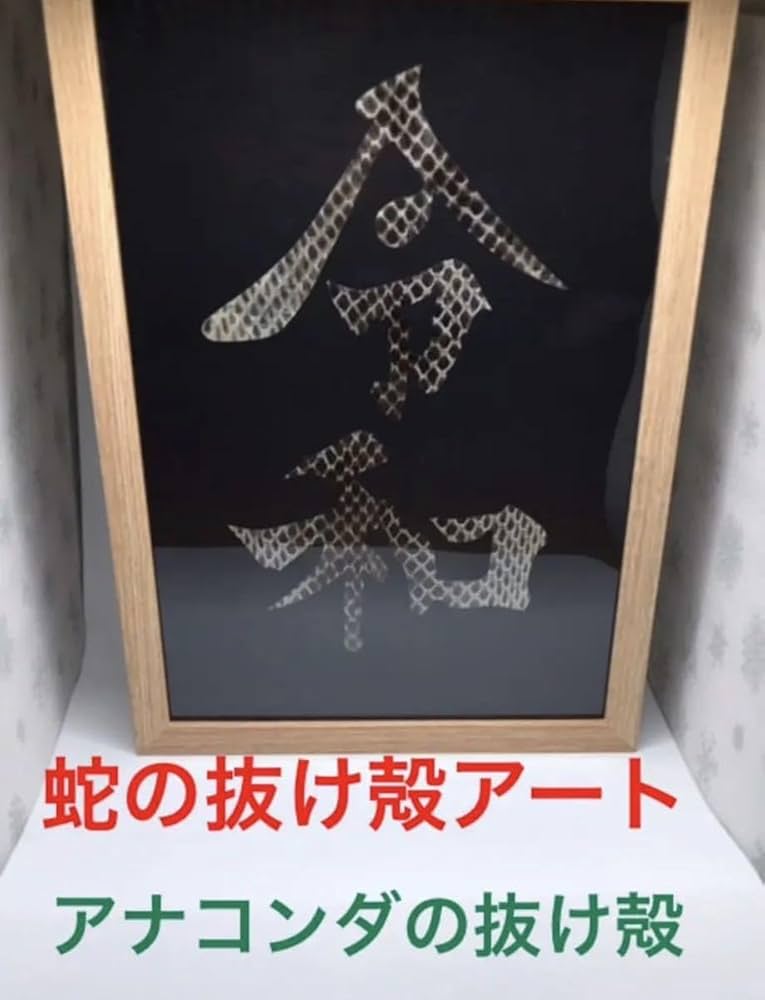 オルゴナイト フクロウ 白蛇の抜け殻 開運 魔除け 金運 家内安全 オルゴナイト2個セット フクロウ 白蛇の抜け殻 開運 金運 魔除け