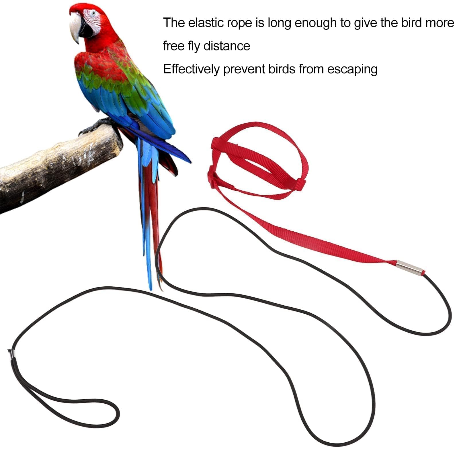 Pettorina Per Uccelli, Imbracatura Per Uccelli Guinzaglio Regolabile Per Pappagalli Guinzaglio Per Attività All'aria Aperta Corda Da Addestramento Cinghia Per Piccola Pappagallino