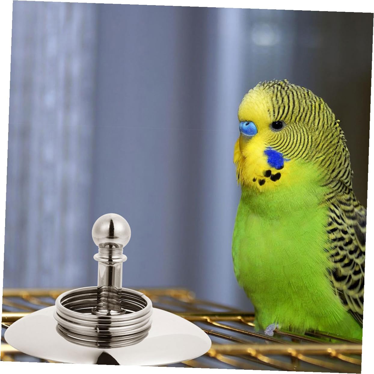BESPORTBLE 4juegos Juguete Educativo para Entrenamiento De Loros Bicicleta De Jugar y Anillo Interactivo Accesorios para Aves Fomenta La Inteligencia Ejercicio Muscular
