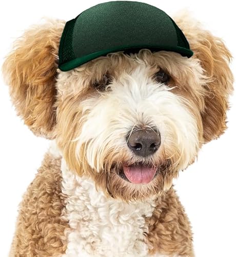 PupLid Sombreros de camionero para perros (pequeños), protección solar elegante de alta calidad para el perro moderno, ajustables para un ajuste