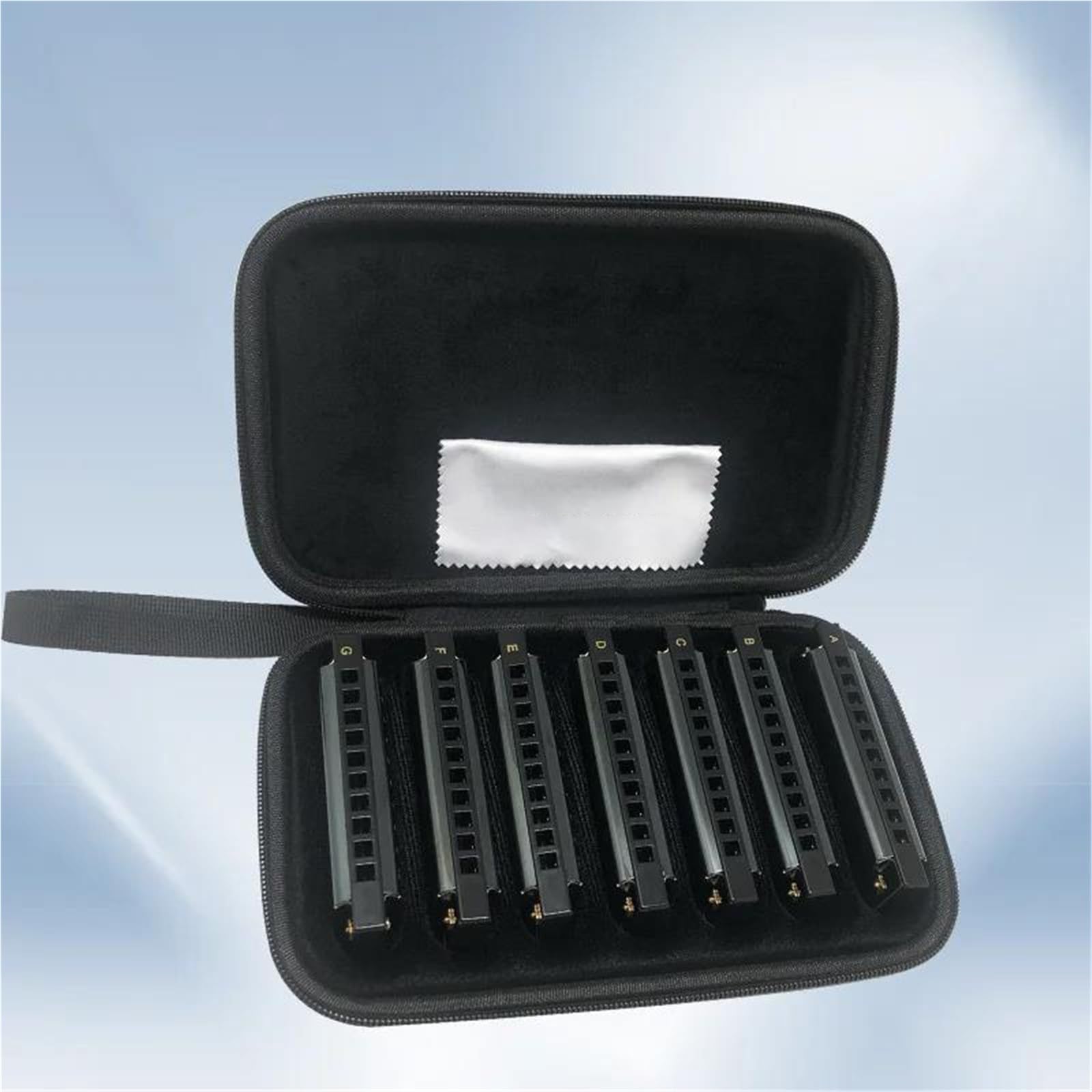 Armonica Set Di Armonica Blues A 10 Fori 7 Toni Con Custodia Per Principianti Professionisti Adulti(Black)
