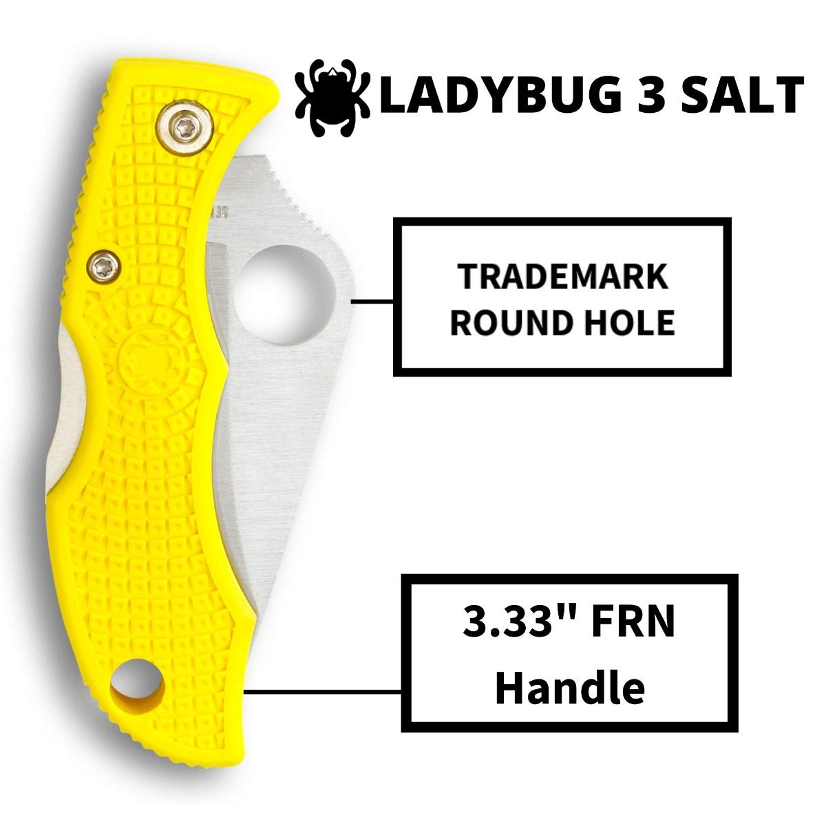 Amazon | Spyderco スパイダルコ Spyderco(スパイダルコ) レディバグ3 