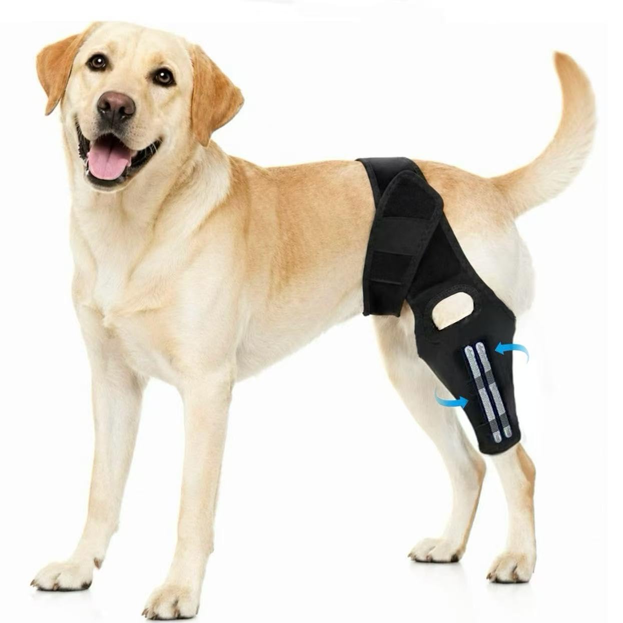 Dog Knee Brace for Torn ACL Hind Leg Support