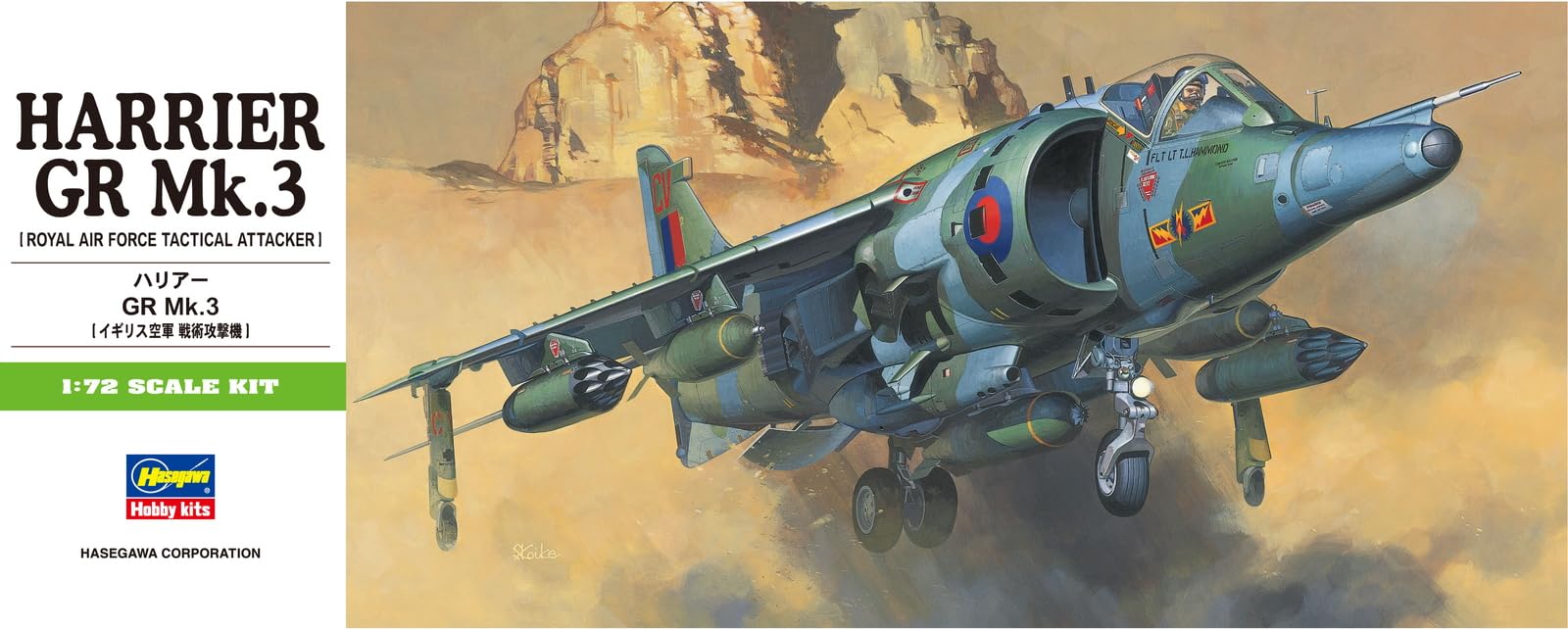 Amazon.com: Hasegawa 1:72 Scale Sea Harrier GR.MK 3 Model Kit