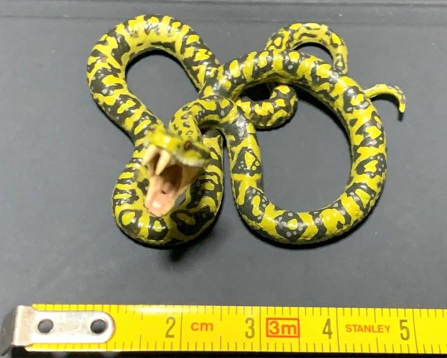 ネイチャーテクニカラー　日本のいきもの press release「Nature of Japan 日本のいきもの1