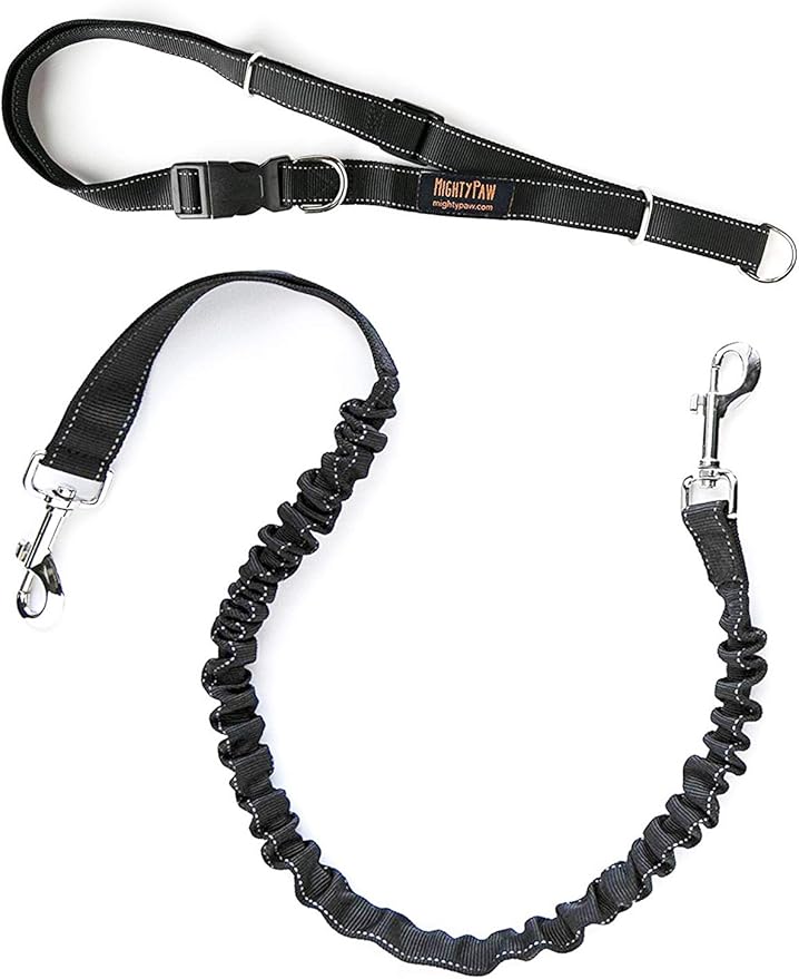 Mighty Paw Hands Free Dog Leash Bungee Waist Leash for