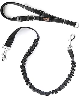 Mighty Paw Hands Free Dog Leash | Bungee Waist Leash for Dog Walking. Pet Running Hands Free Tether for Large, Medium & Small Breeds. Pet Waist Belt (36" - 48") Up to 150 lbs - Black