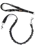 Mighty Paw Hands Free Dog Leash | Bungee Waist Leash for Dog Walking. Pet Running Hands Free Tether for Large, Medium & Small Breeds. Pet Waist Belt (36' - 48') Up to 150 lbs - Black 36' Black
