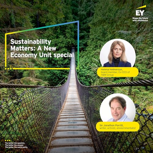 How and why should CEOs put sustainability at the core of business