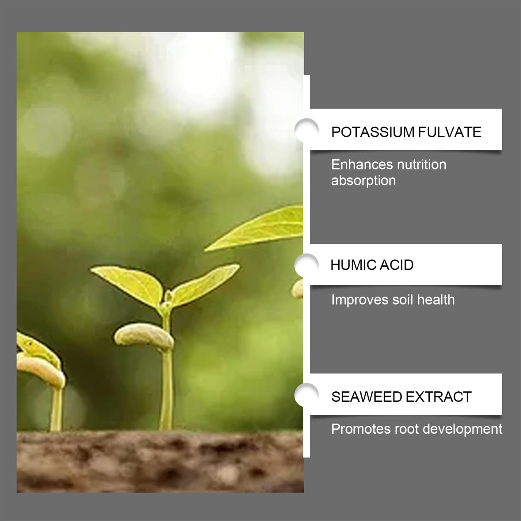 Soil Pro Activator, Water Soluble Formula for Vegetables, Flowers, Houseplants, Indoor and Outdoor Plant Care (1pcs)
